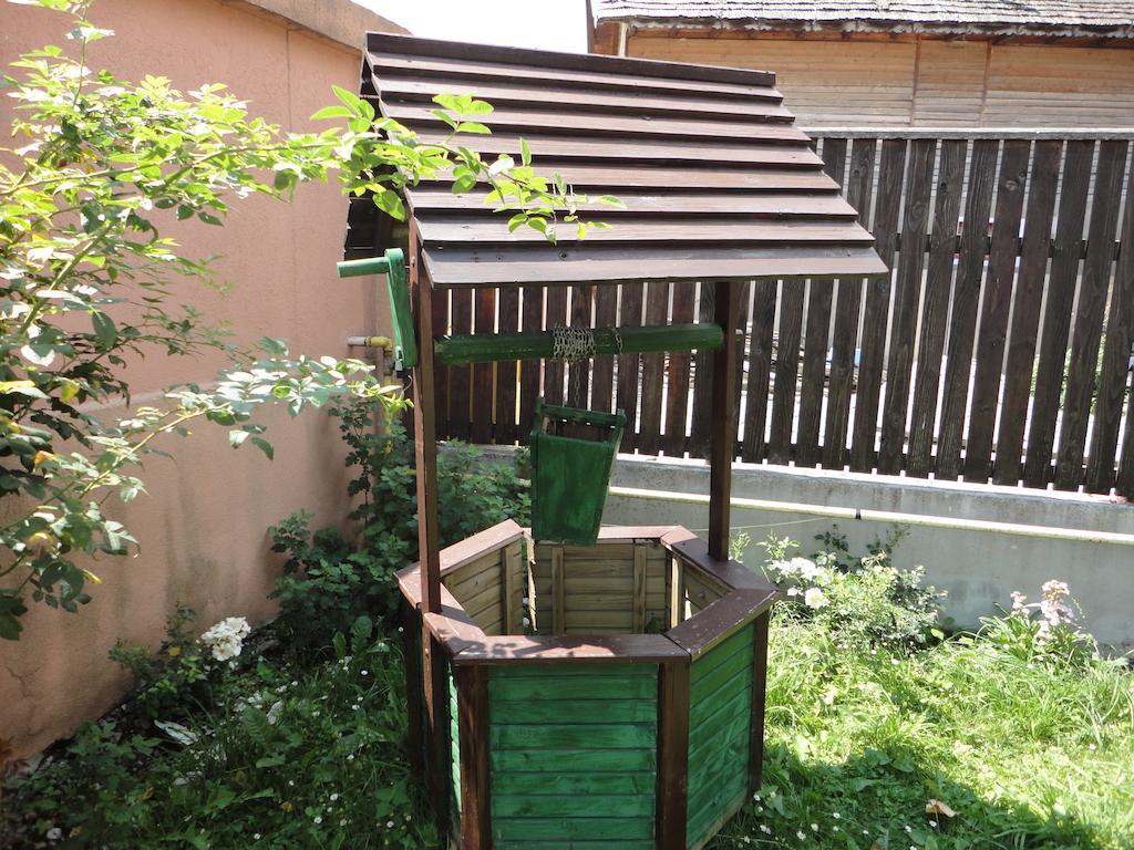 Pensiune Maria Rucăr Exterior foto