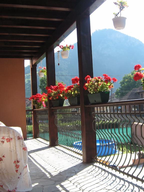 Pensiune Maria Rucăr Exterior foto